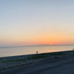 連日の大サバ釣り