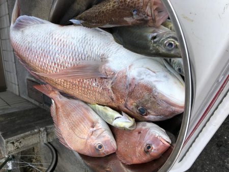 串本カセ釣り 河田フィッシングさんにて