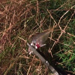 風強かったけど楽しかった^ ^