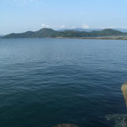 津田沖一文字でカサゴ祭