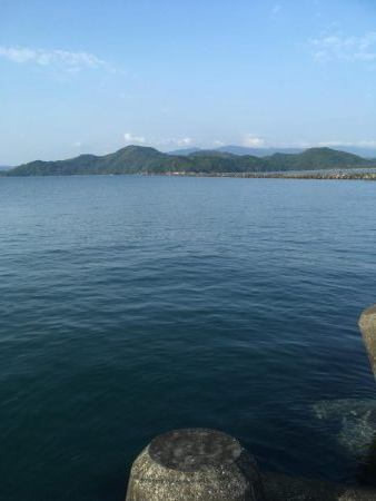 津田沖一文字でカサゴ祭