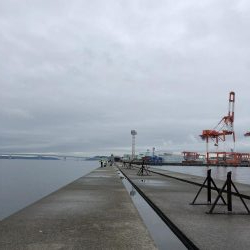 今期初、令和初