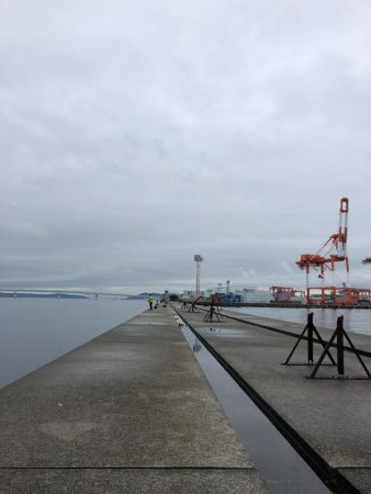 今期初、令和初