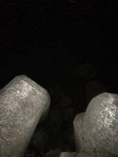 淀川のチニングパート2