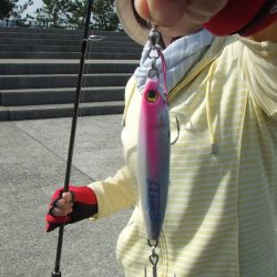 メタルジグでツバスゲーム