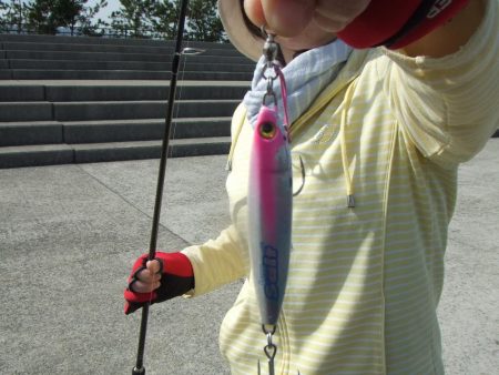 メタルジグでツバスゲーム