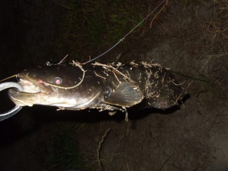 なかなか絞れません