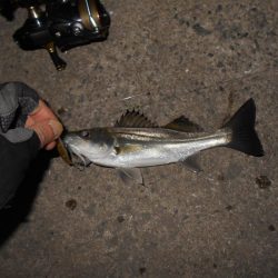 バチパターンでヒット