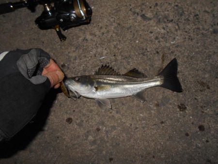 バチパターンでヒット