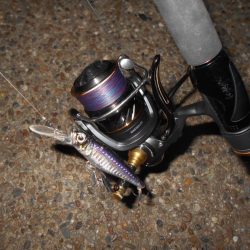 暗くなるまでが勝負