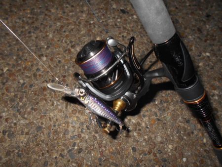 暗くなるまでが勝負