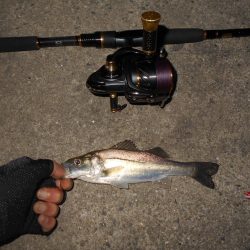 北風が吹けばテトラ際が狙い目？