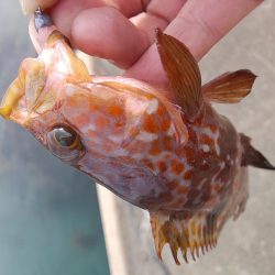 リベンジ達成！