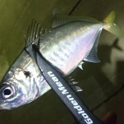 舞洲ライトゲーム