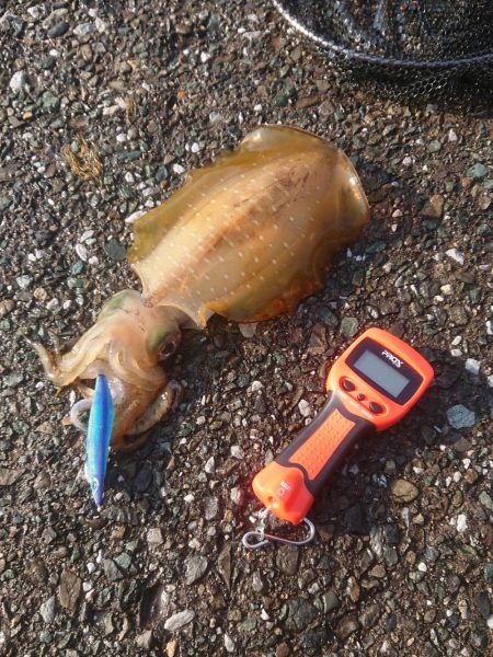 キロアップならず