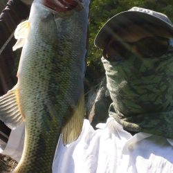 サイズが伸びない。