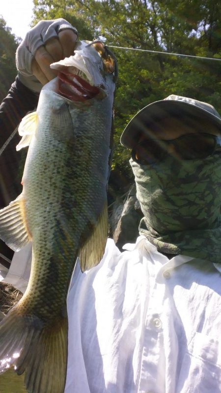 サイズが伸びない。