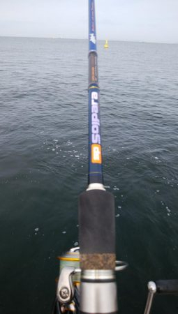 やっと今年初のシーバス