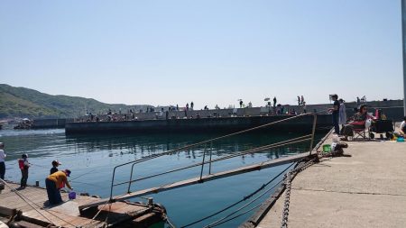 小島漁港でビックなクジメ！！！