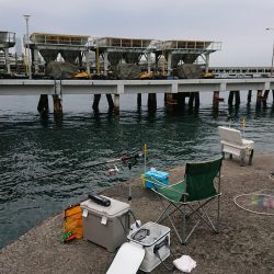 平成最後の釣行