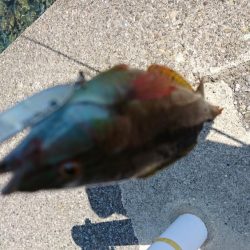 ベイティ2.3インチ