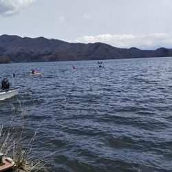 全然ダメ・・・