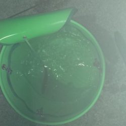 アジ、チヌ、コウイカ