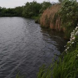 令和初の淀川バス