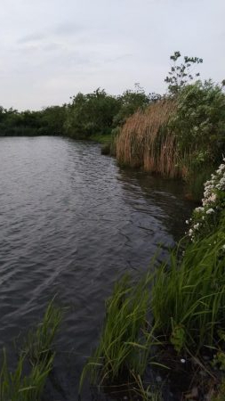 令和初の淀川バス