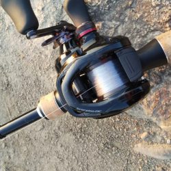 ボウズは逃れた