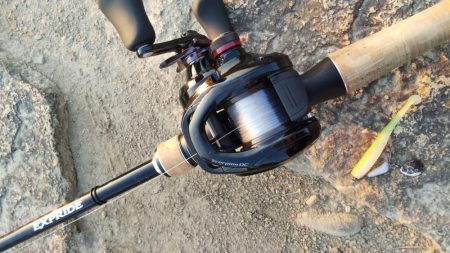 ボウズは逃れた