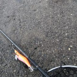 teamゲッソー調査隊