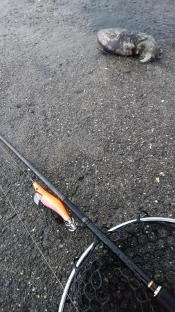 teamゲッソー調査隊