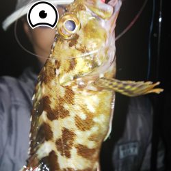 小さいのを数だけは・・・