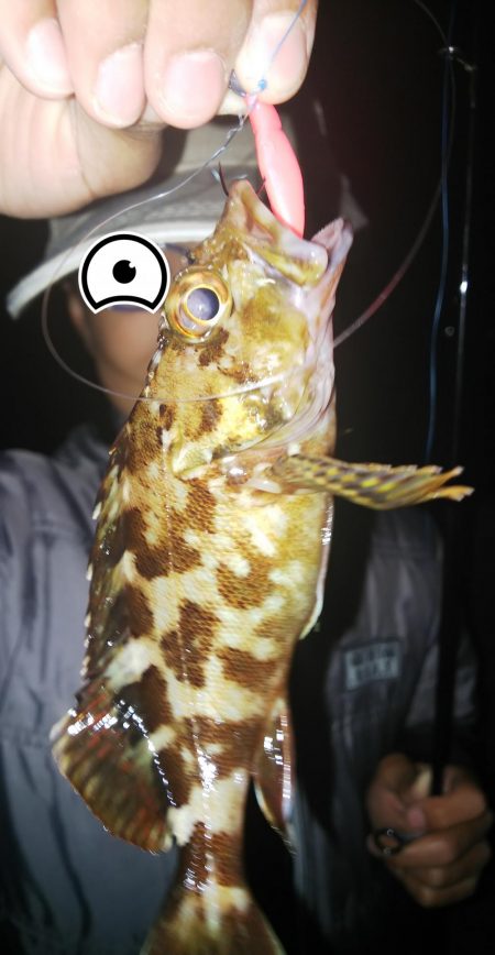 小さいのを数だけは・・・