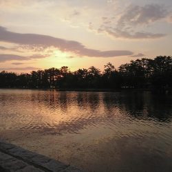 チーバスとデカキスと(^O^)