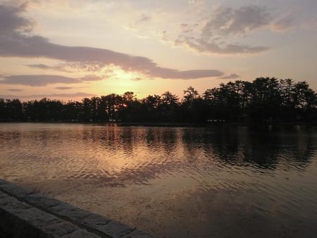 チーバスとデカキスと(^O^)