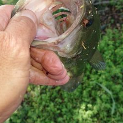 五三川 パワーフィネス