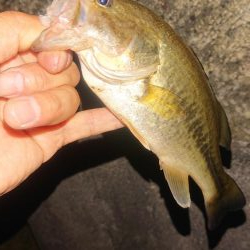 2019.5.12 養老 五三川 パワーフィネス