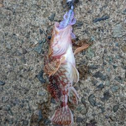 相変わらずの強風の中