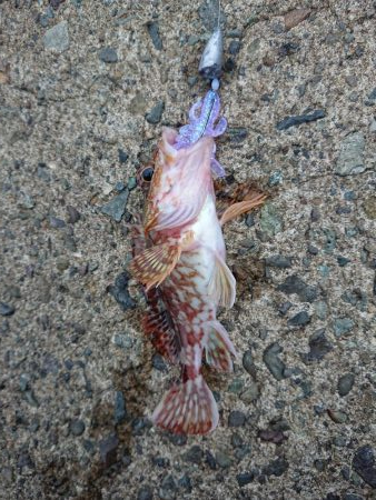 相変わらずの強風の中