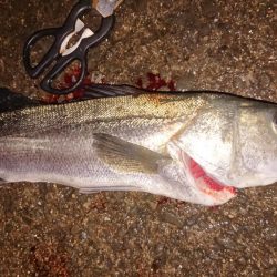 ぶっこみでハネ