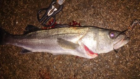 ぶっこみでハネ