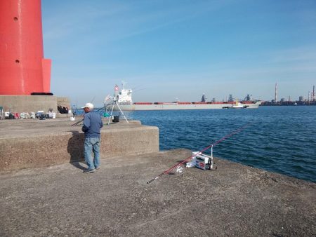 キスの引き釣りにカレイが釣れました