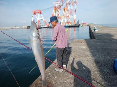 播磨新島のキス情報