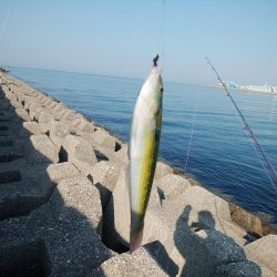 東二見西水道へキス釣査