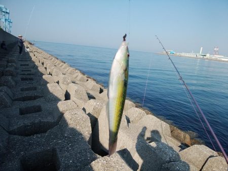 東二見西水道へキス釣査