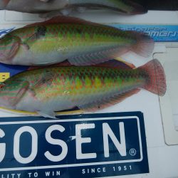 境水道で良型キス狙い