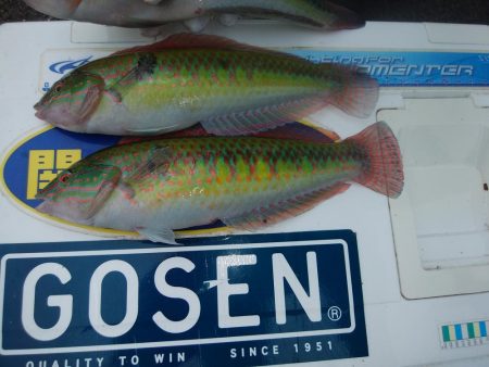 境水道で良型キス狙い