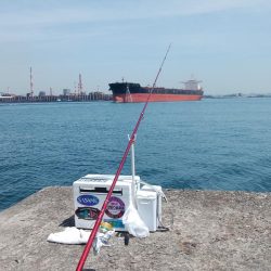 播磨新島のキス情報